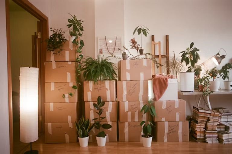 Why Swedish Death Cleaning Might Be the Kindest Gift You Leave Behind - Brainz Magazine