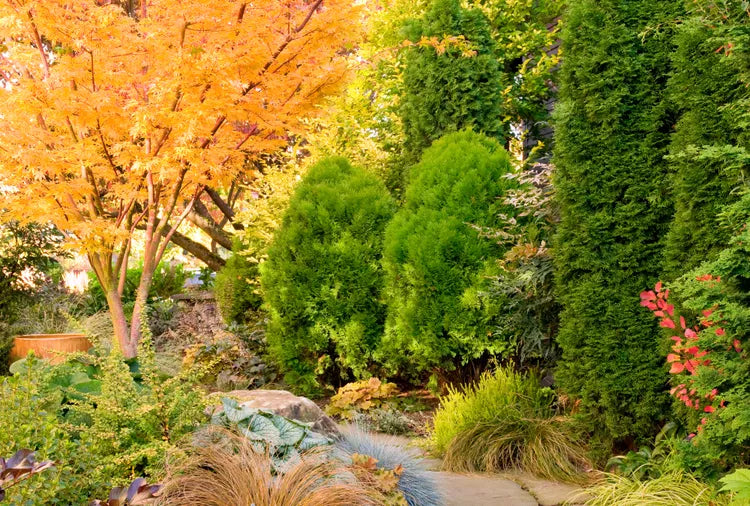 7 Garden Items You’ll Regret Not Tossing Before Winter Hits | Better Homes & Gardens |