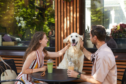 Woman and man enjoying time with a dog