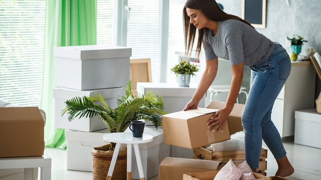 Cardboard packing boxes placed neatly on a floor next to green indoor potted plants, highlighting simple ways to organize your home for summer.