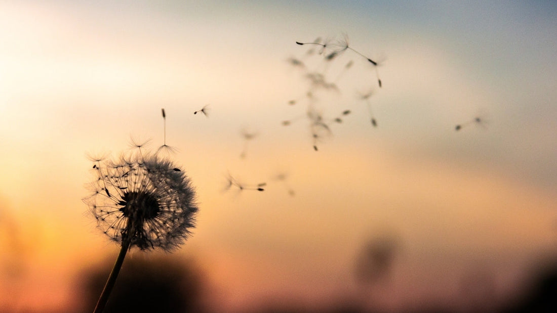 What is Detached Engagement?